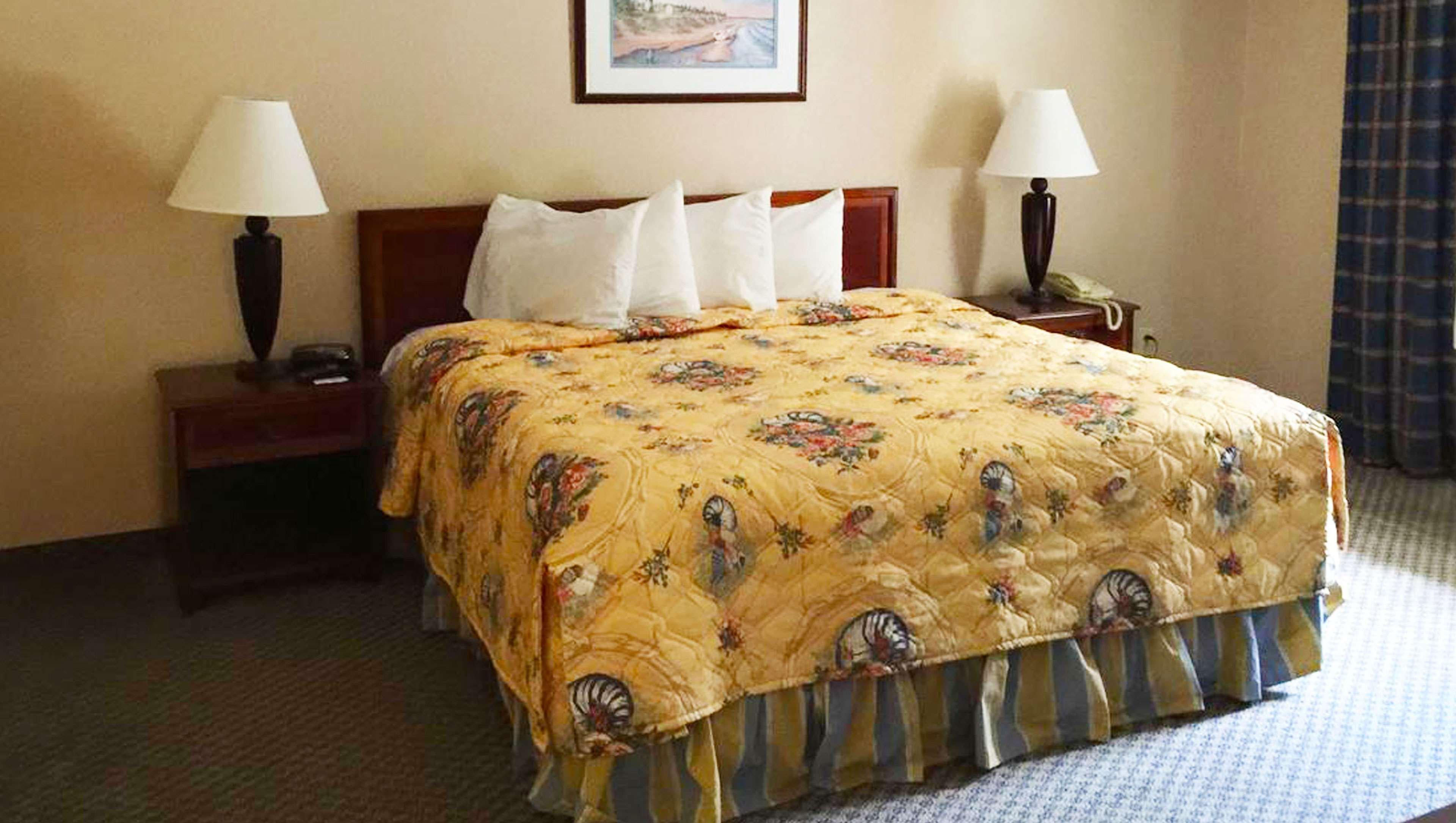 Mayfair Inn Williamston Extérieur photo